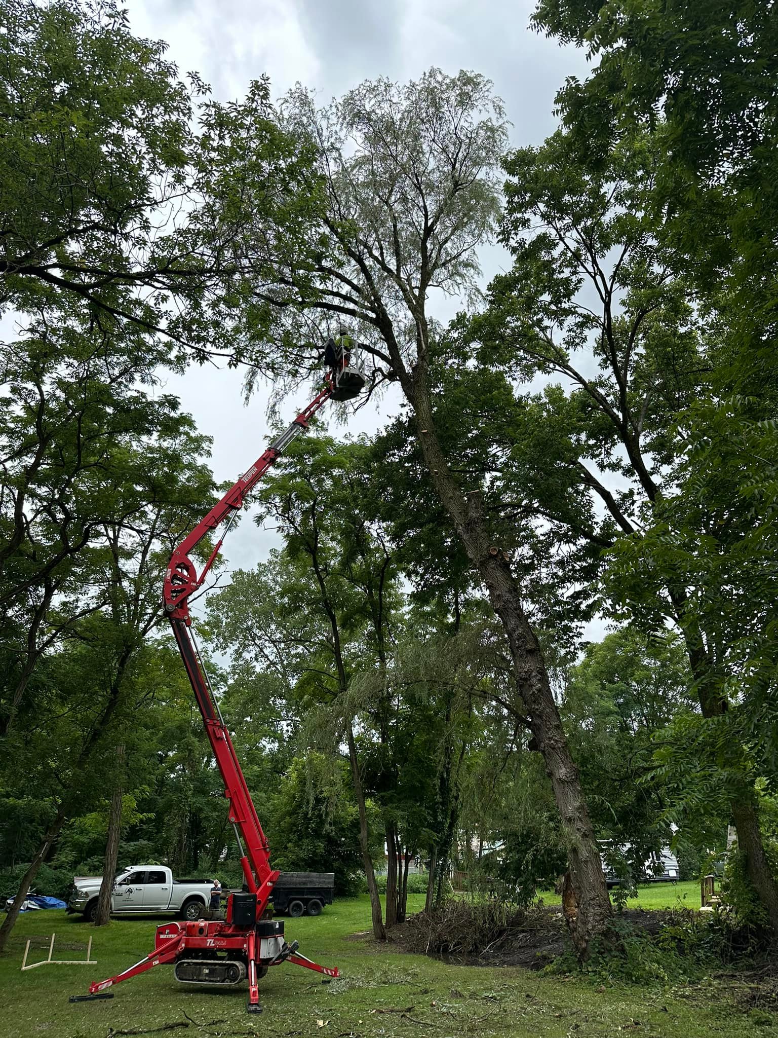 Ballston Tree & Property Services | Ballston Spa NY
