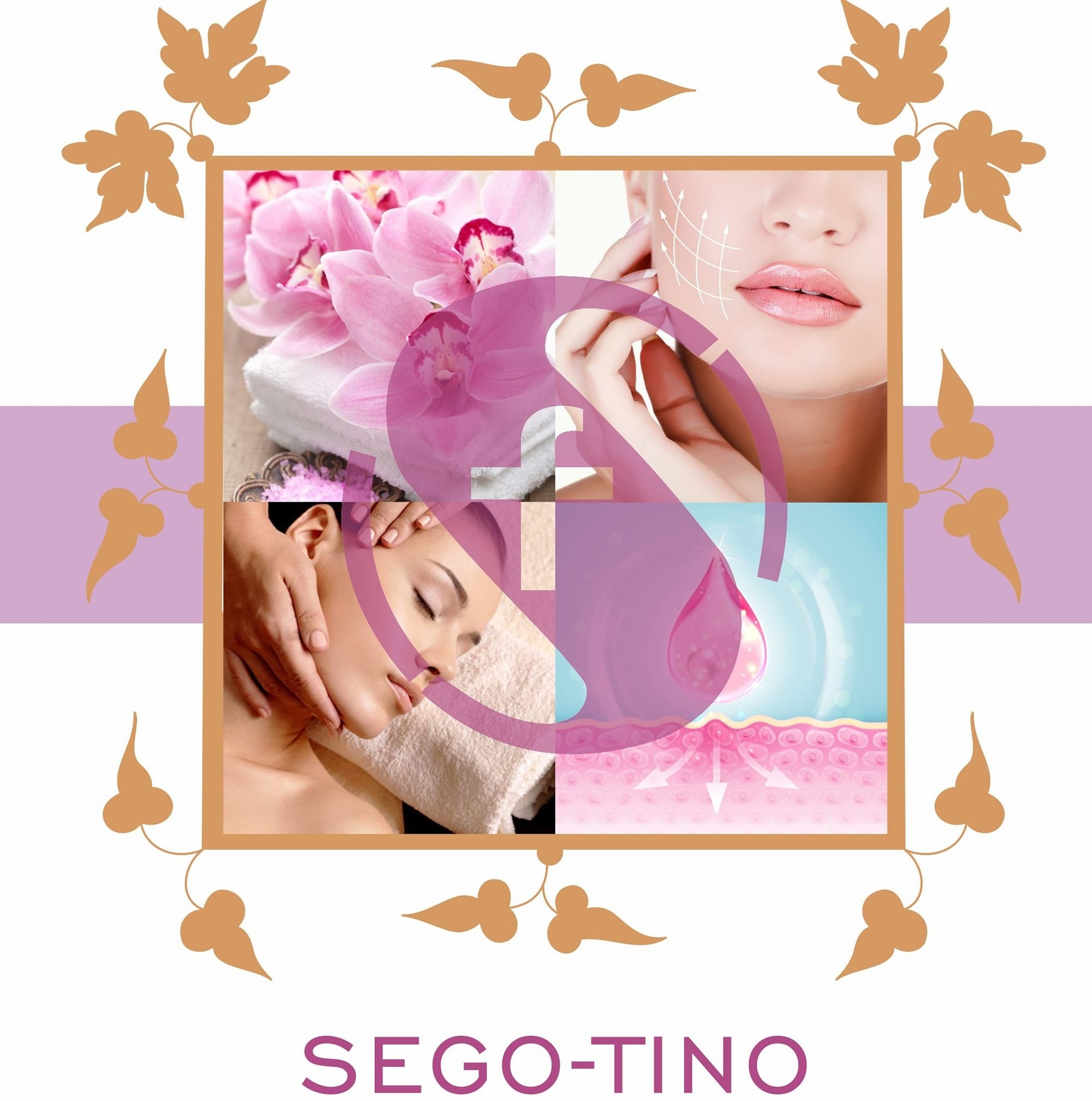 Sego-tino 雪格緹諾-美容spa.體重管理 on Reels