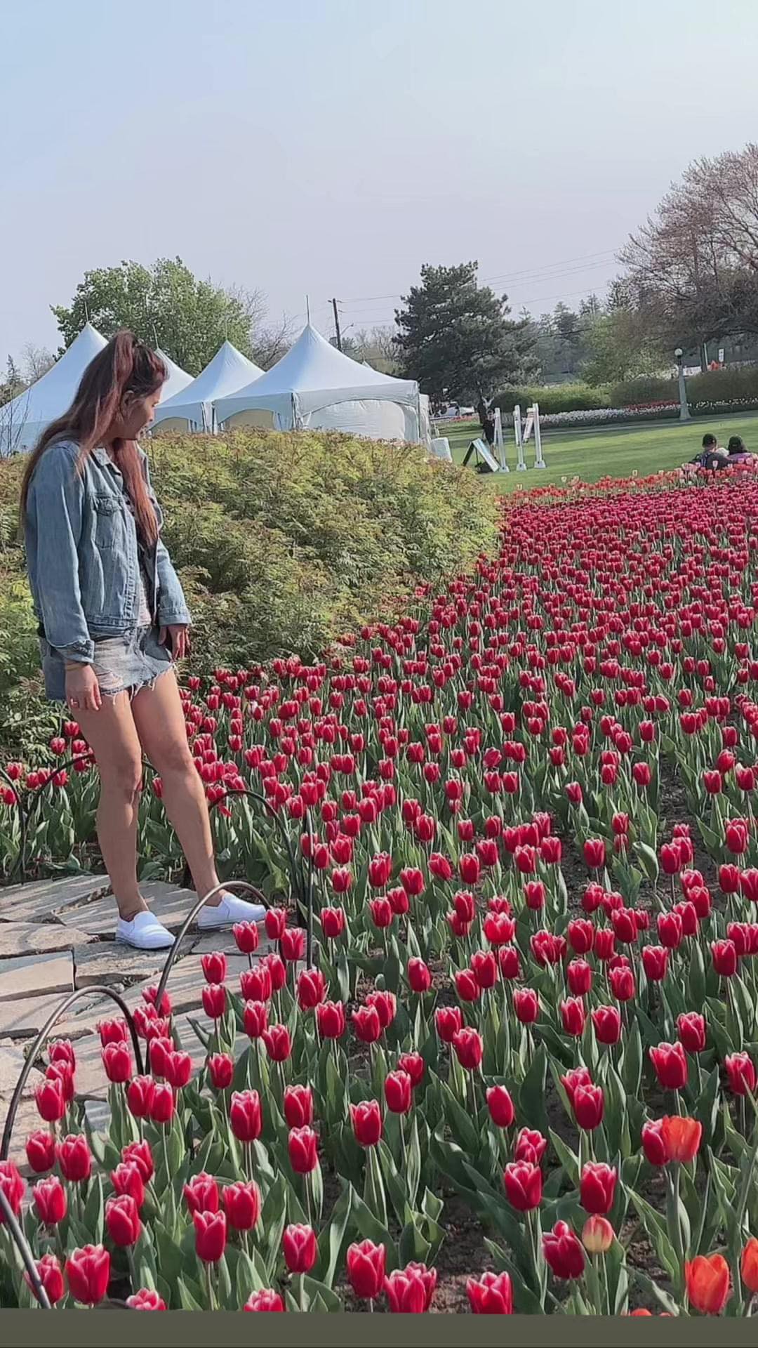 ดารุณี มวลชัยสงค์