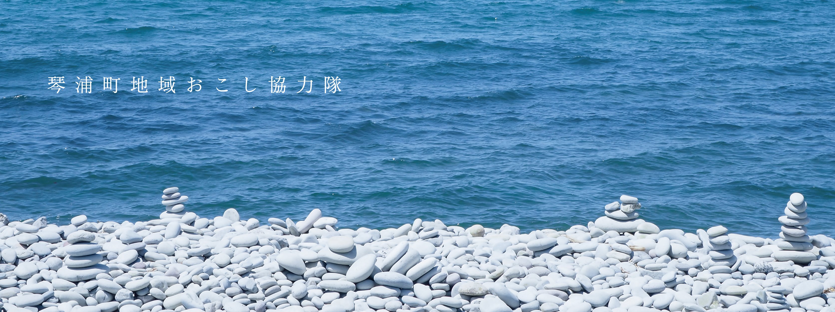 とっとりプロボノ（とりボノ） - 【とっとりプロボノ2016・西部チーム】 保育サポーター・クローバーキッズのマーケティング基礎調査を行なって ...