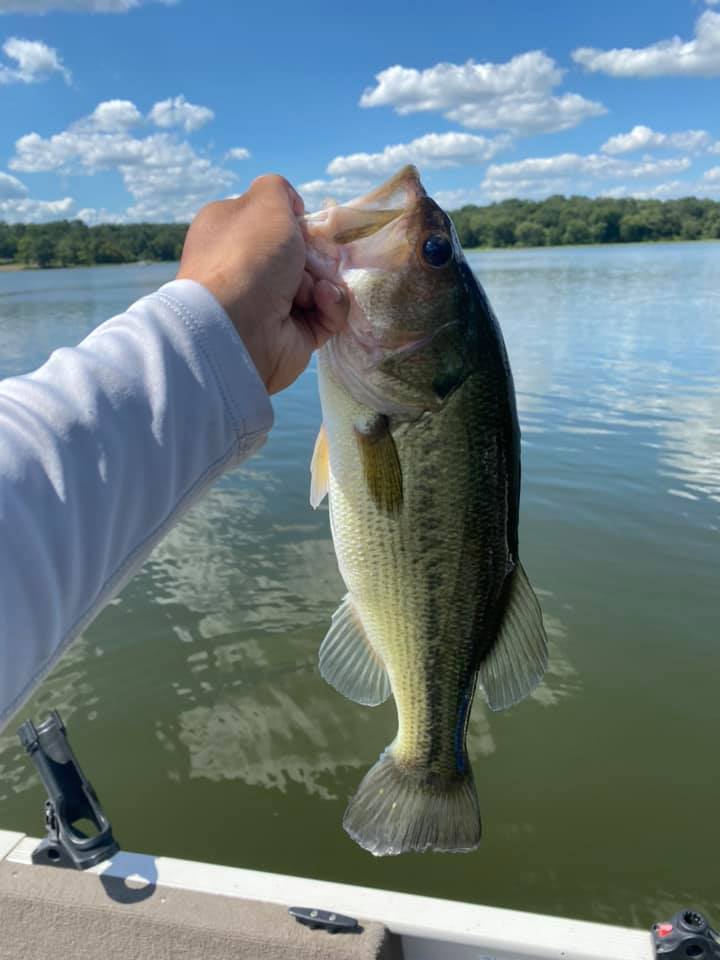 best bass lures at black canyon resevoir Lake-X Cannonball JR. (Epoxy Finish), Made in the USA to last and flat out catch big ones Black Canyon Reservoir east end