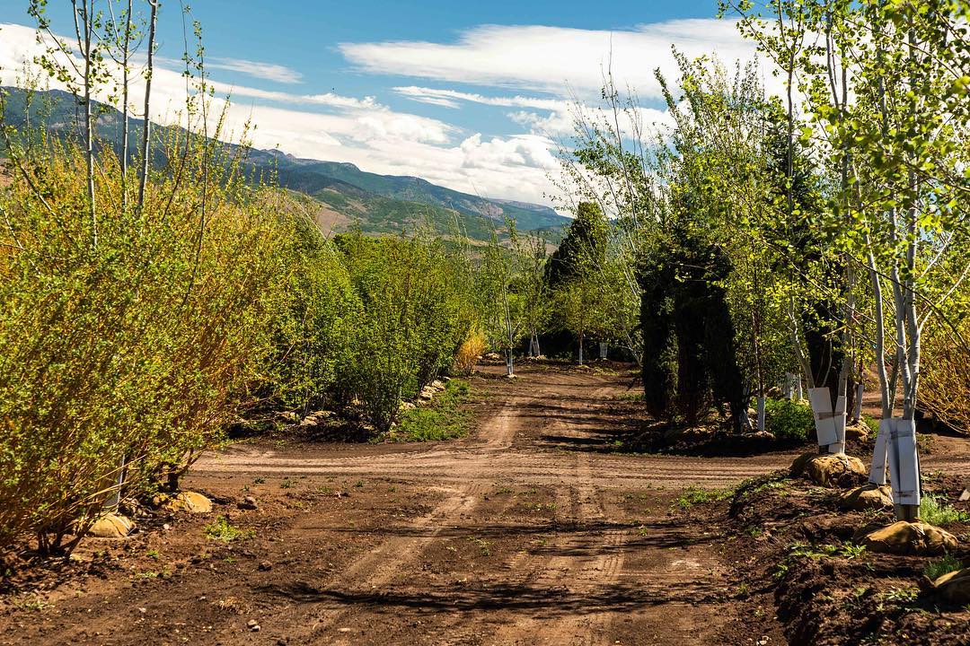 Benloch Ranch