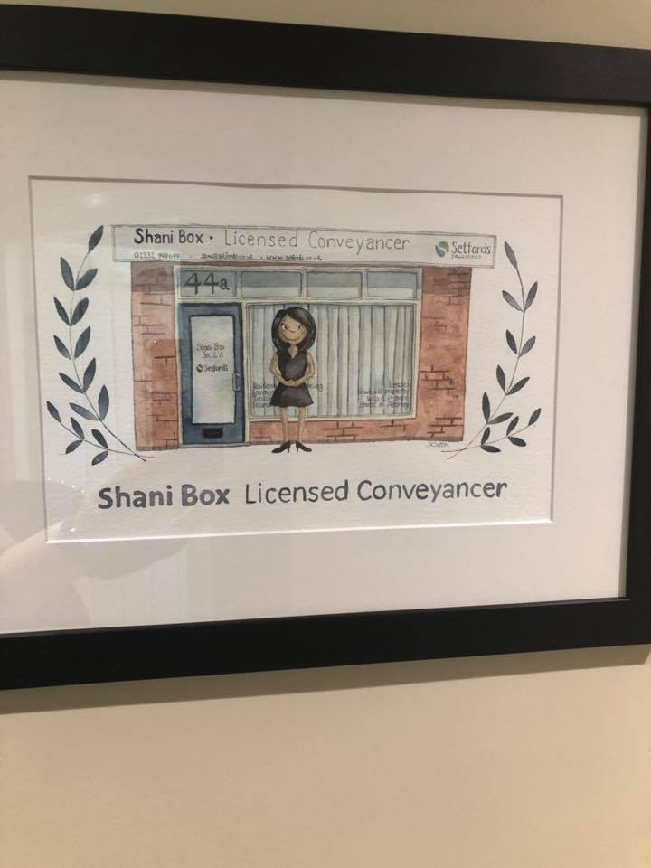Shani Box | Derby