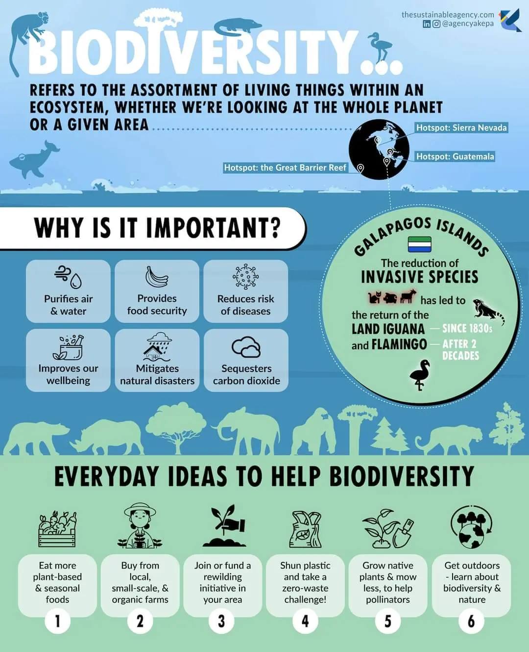 Global Environmental and Climate Conservation Initiative