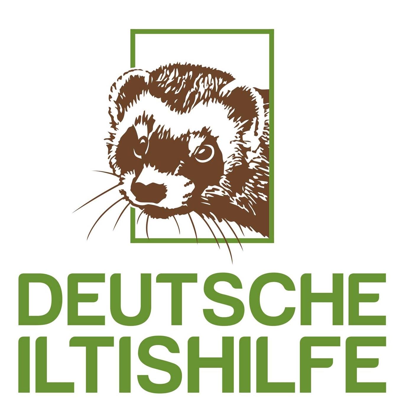 Während unsere Kontrollen haben wir jetzt schon länger keinen Iltis ...