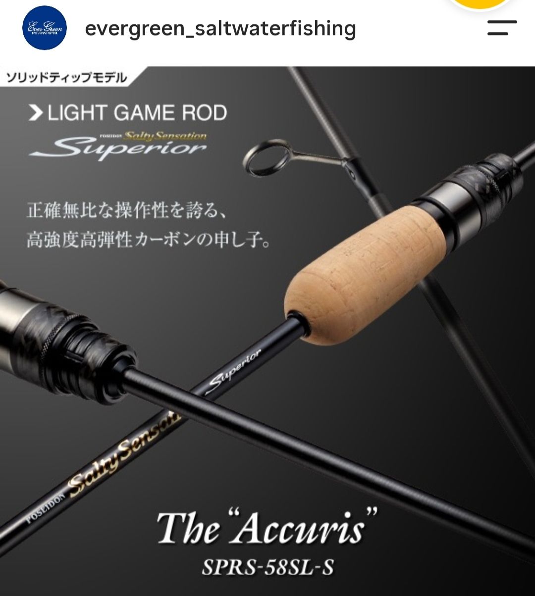Evergreen Salty Sensation Superior Accuris fishing rod with