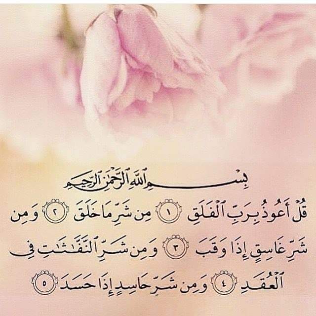 Nsreen Mohamd - 🔥🏢💥 عـــروض عــقــاريــة... | Facebook