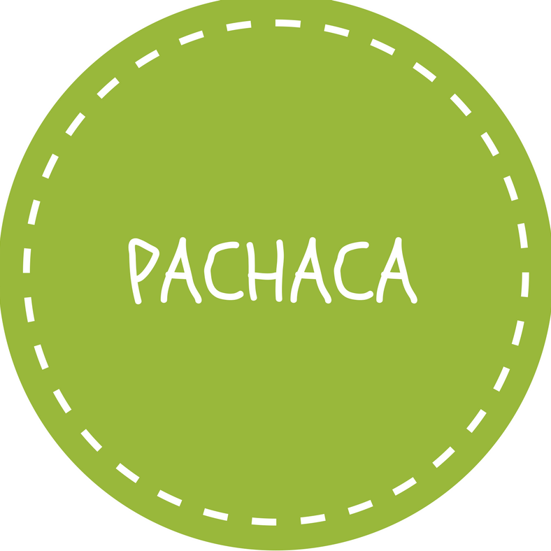 Pachaca - “Muchos pinos plantados no son un bosque, son una plantación ...