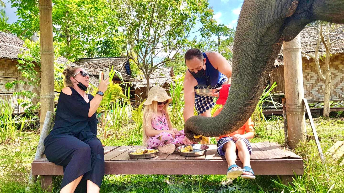 🎊🎁 🎄Happy new year🎄 🎁🎊 Thank you... - I Love Elephant Samui | Facebook