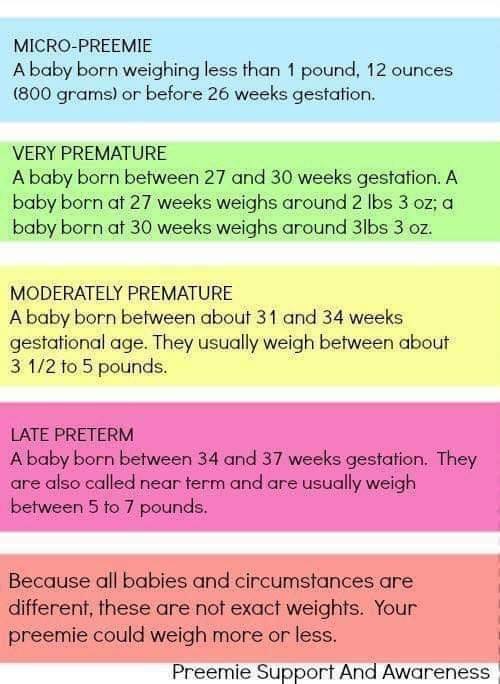 Octopuses For Preemies In The NICU - When was your preemie born and how ...