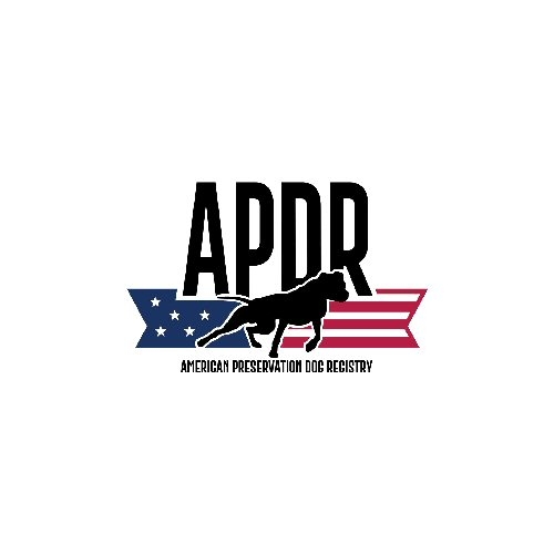 American... - American Preservation Dog Registry (APDR)