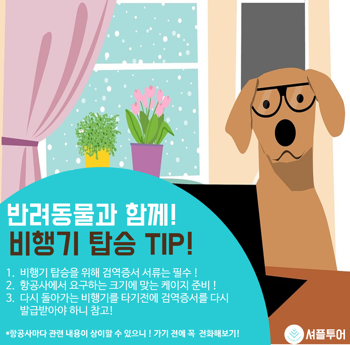 반려동물과 함께 떠나자! 여행 팁 !📌📌📌 정보전달의 신... - 셔플투어 강원도여행/국내여행/트퍼여행 | Facebook