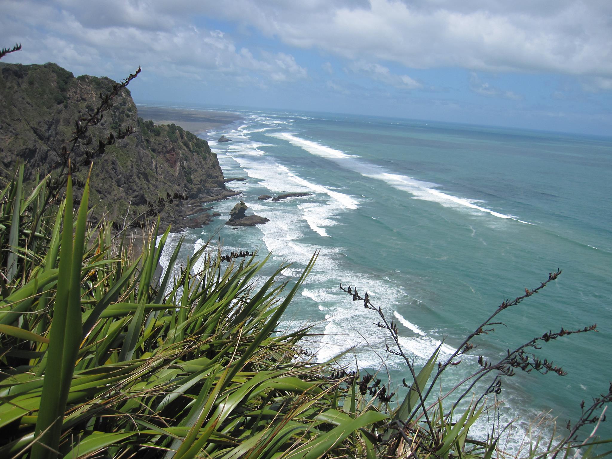 The Waitakere Ranges Protection Society Inc