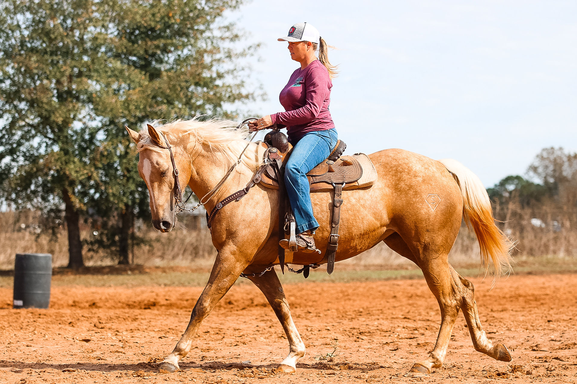 TLC Performance Horses | Hughes Springs TX