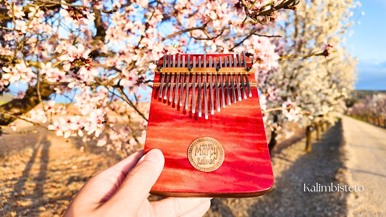 Kalimbisteto / Array Mbira & Kalimba Music