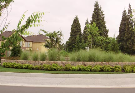 Laurus Designs, LLC