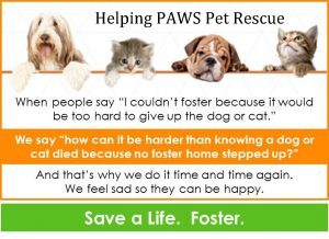 The Many Hats of Our Foster... - Helping PAWS Pet Rescue, Inc