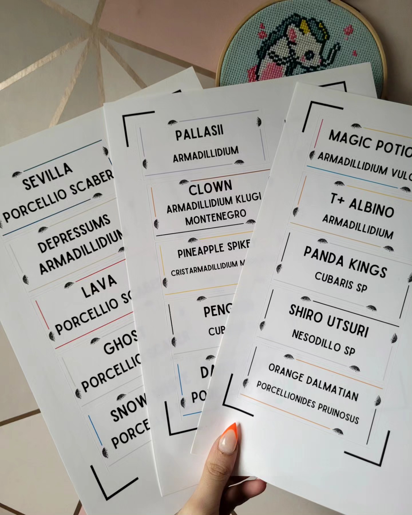 Cows Creations - 🪲 Invert tub labels 🪲🕷🪳 🪲 Individually...