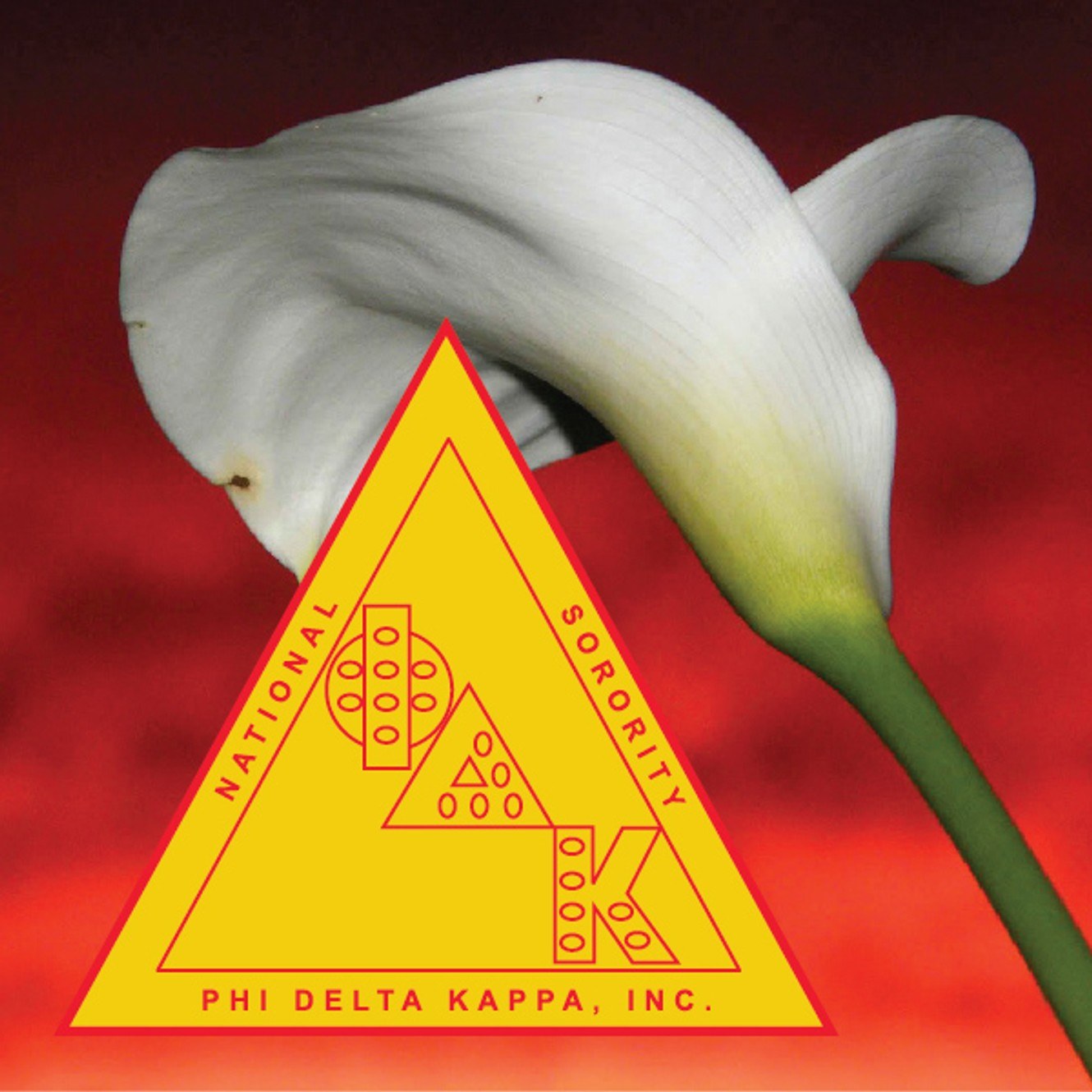 NSPDK Inc. Epsilon Rho... - NSPDK Inc. Epsilon Rho Chapter