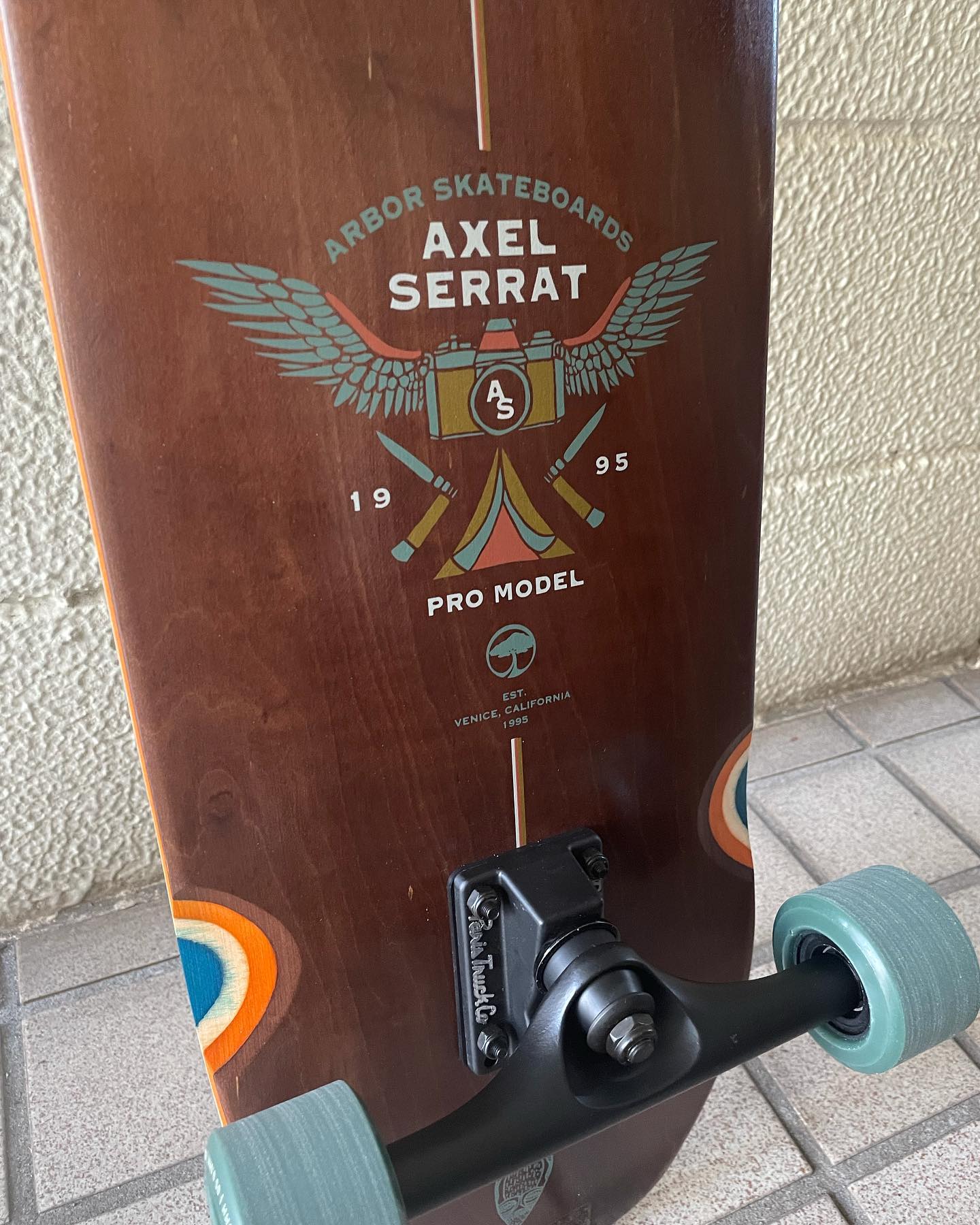 待望のAXEL SERRATコンプリート入荷しました！ クルージング、オーリー 