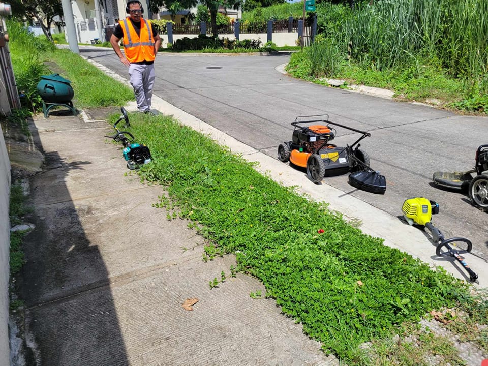Photo inspiration: Visual Reference: Grass Cutting Plant Trimming Tree Trimming And Pest Control