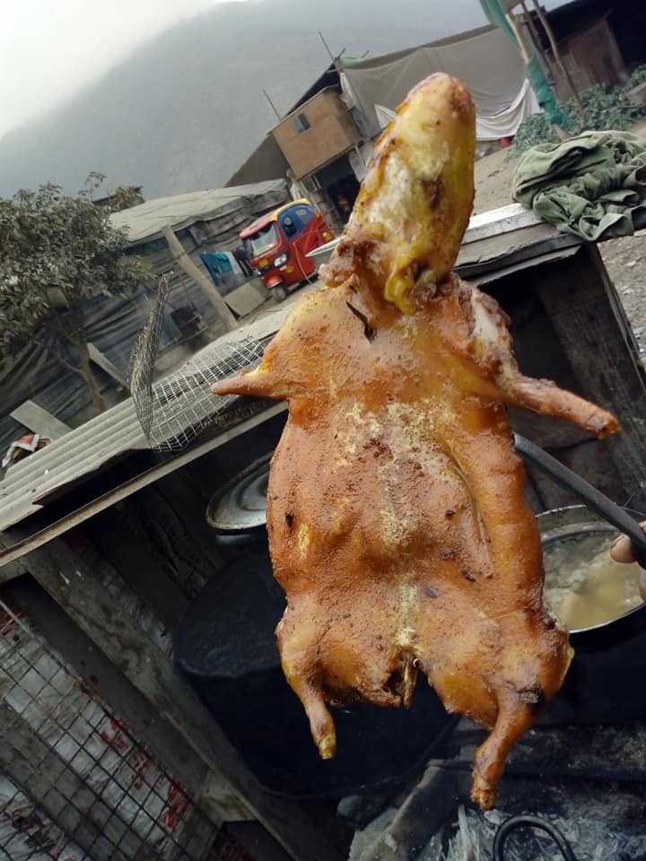 El cuy🐹 era un animal sagrado 😀para los incas y su carne era muy ...