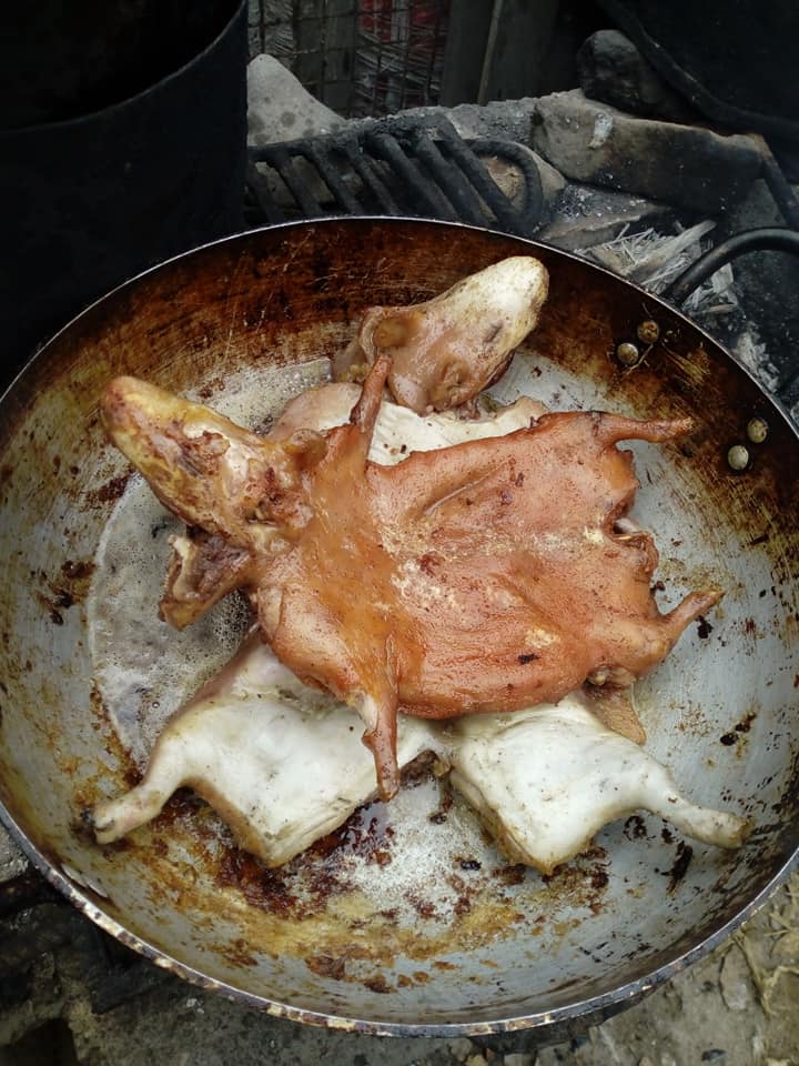 El cuy🐹 era un animal sagrado 😀para los incas y su carne era muy ...