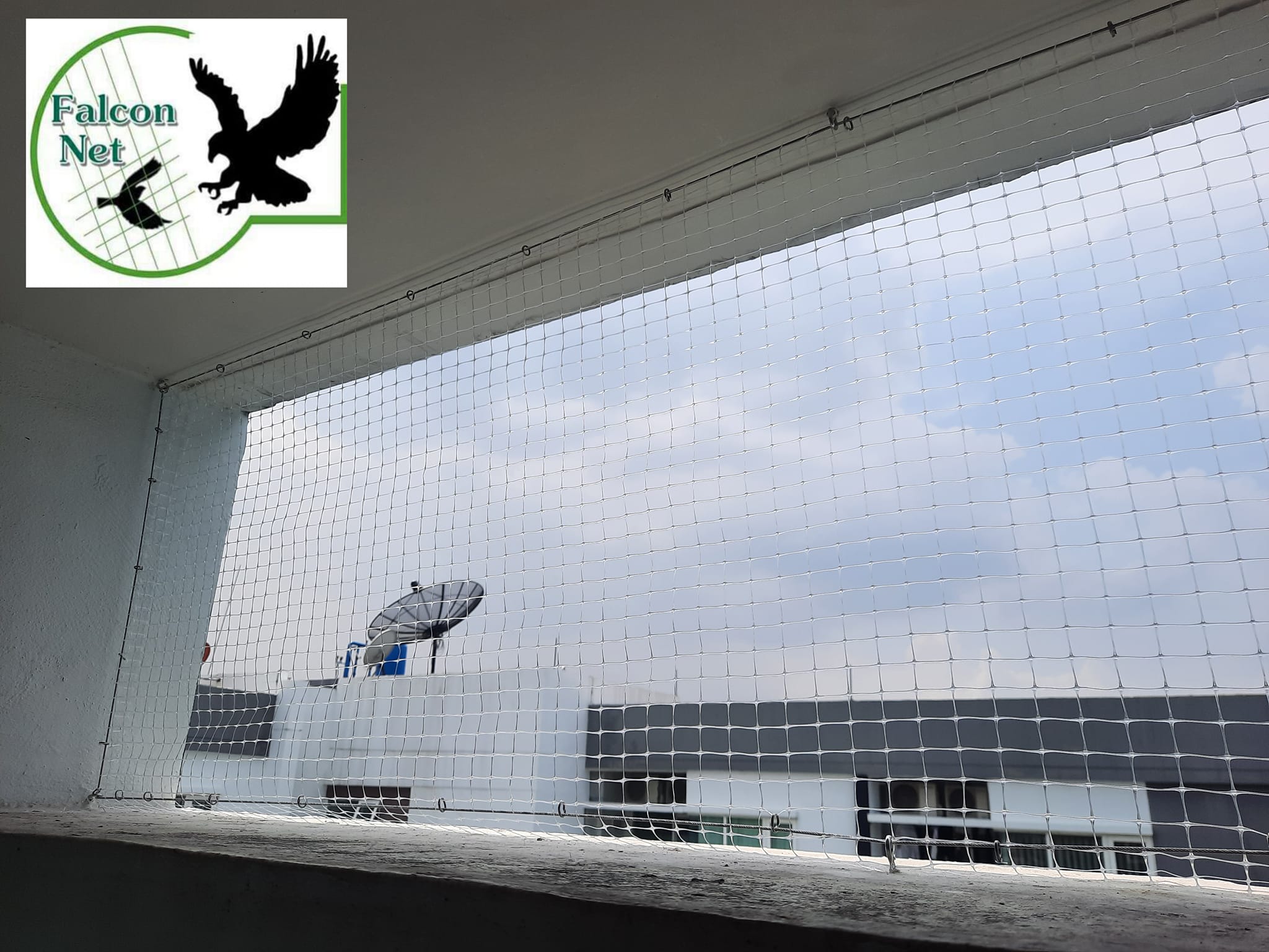 ตาข่ายกันนก Falcon Net added a... - ตาข่ายกันนก Falcon Net