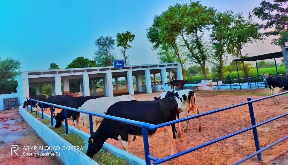 ISLAM Agro Farm - প্রতি লিটার : ৮০ টাকা... 🥛 আমাদের প্রতিটি 