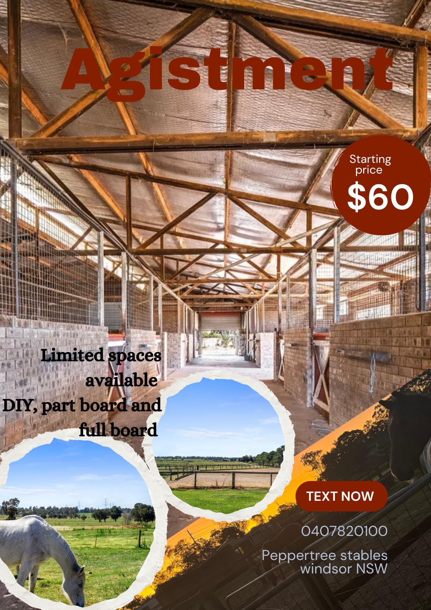 Peppertree Windsor stables | Sydney NSW