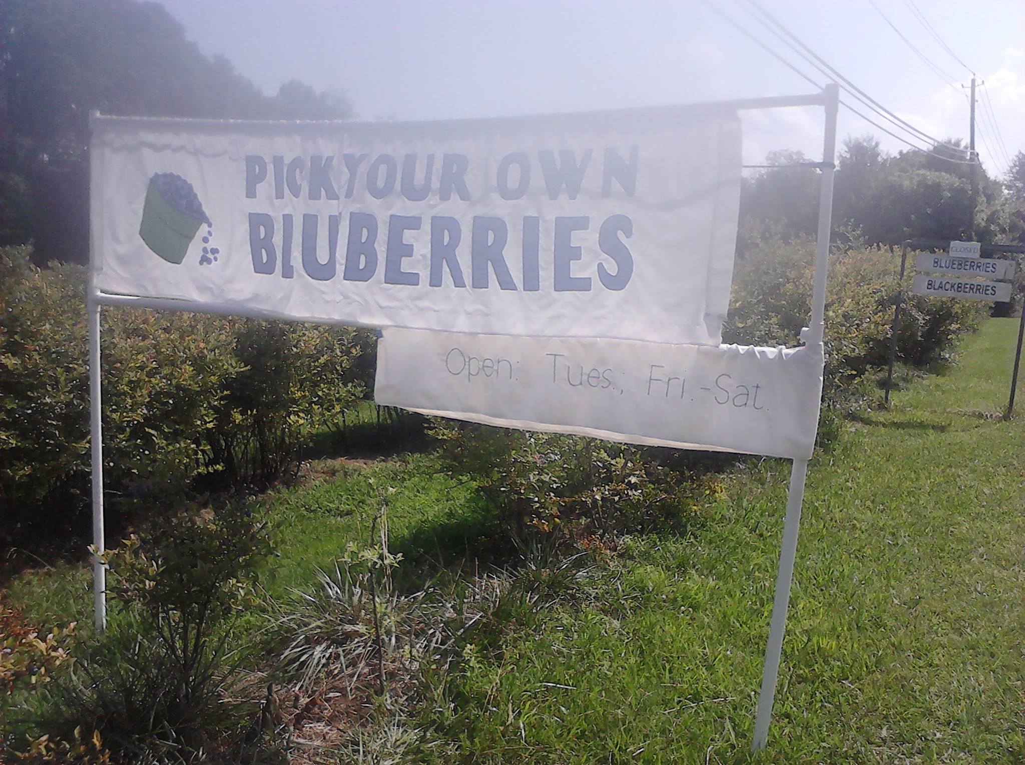Thress Nursery Gardens added a... - Thress Nursery Gardens