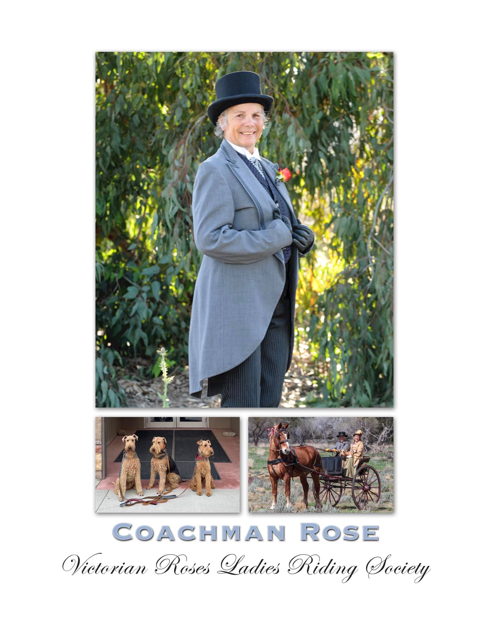 Victorian Roses Ladies Riding Society - #victorianrosesroseparade2022 ...