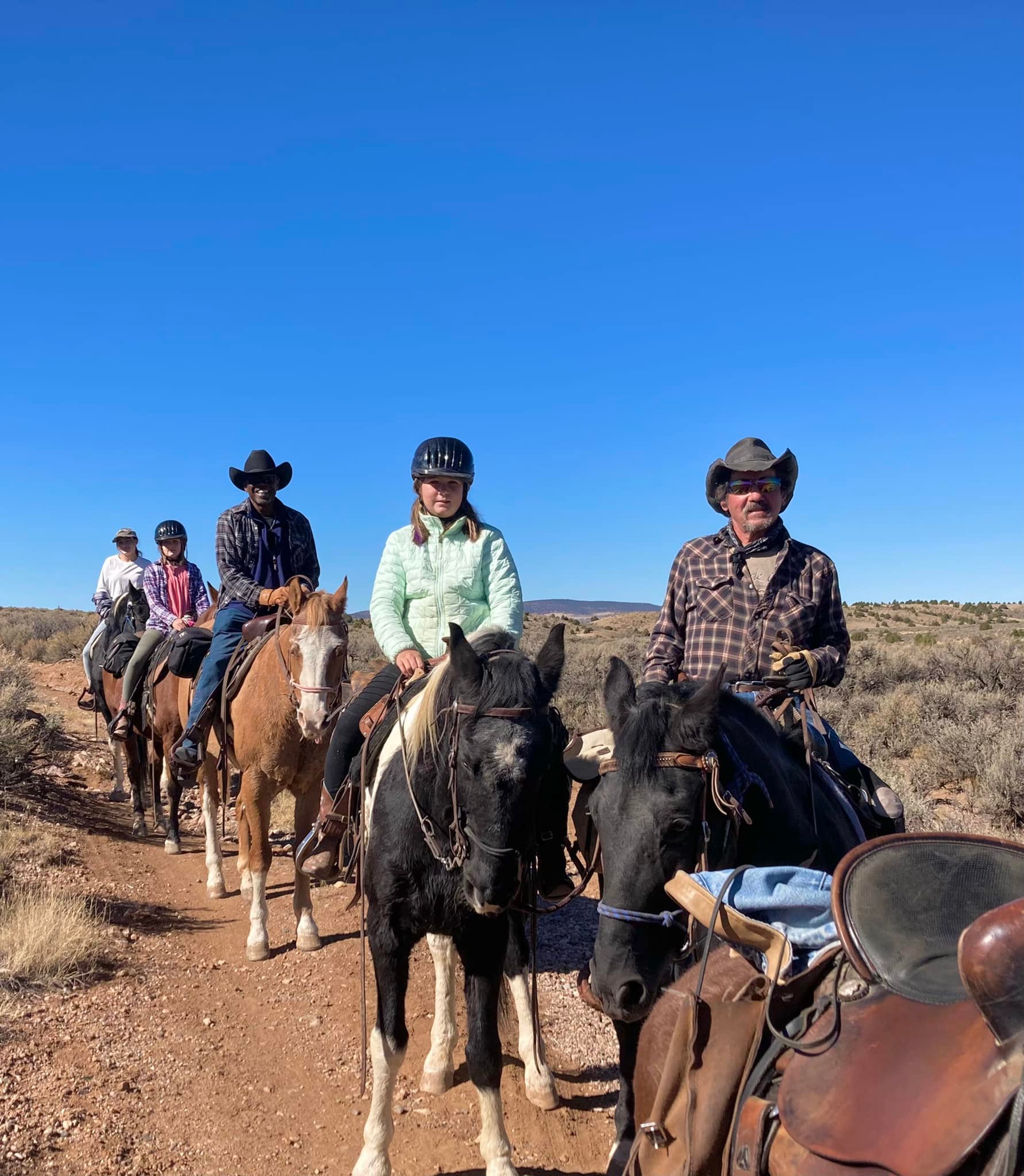 Self-Employed KSC Cattle Company | Ranchos de Taos NM