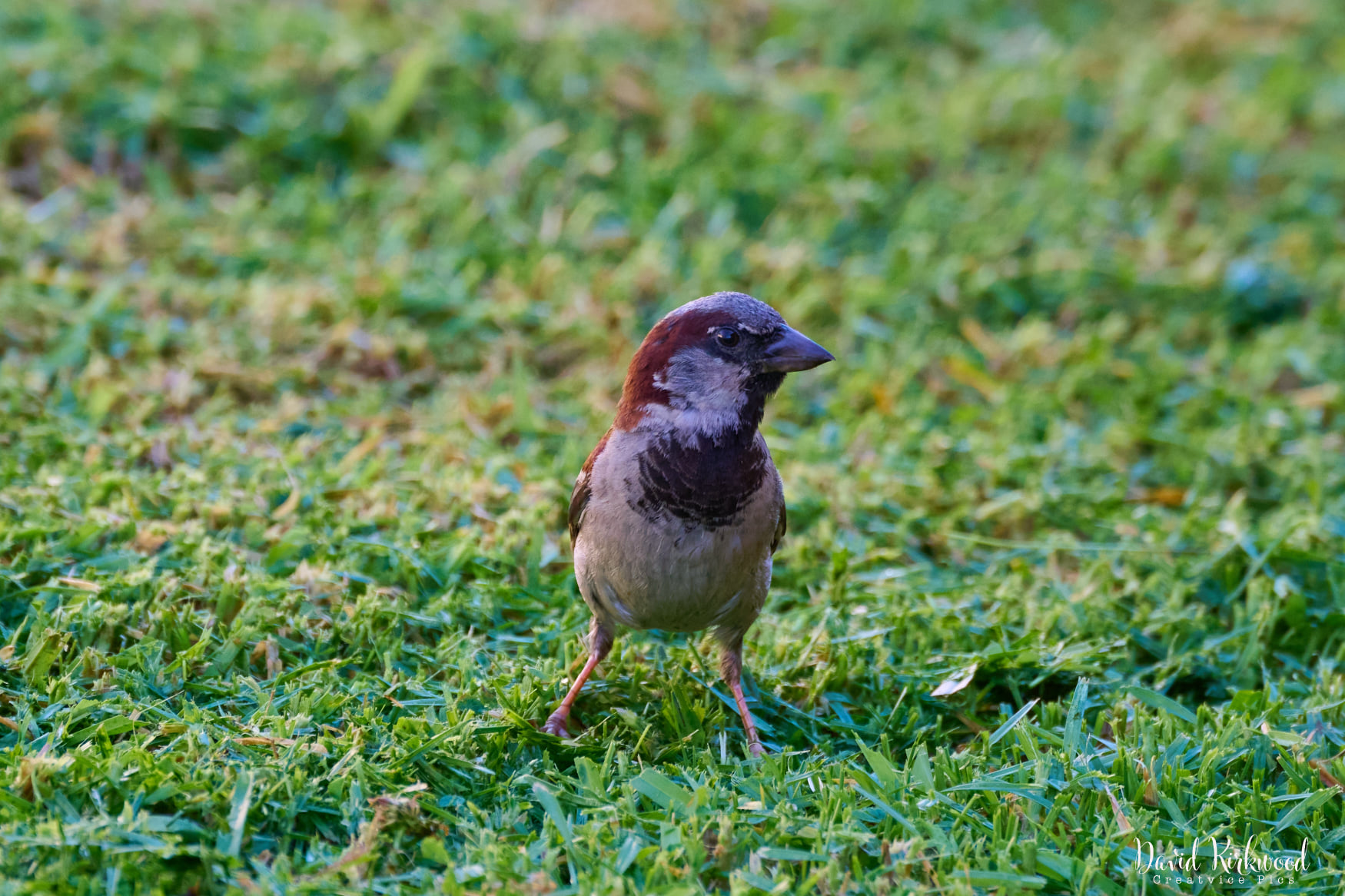 This is photo using FTZ II 80-400mm f/4.5-5.6 VR lens @ 400mm on a