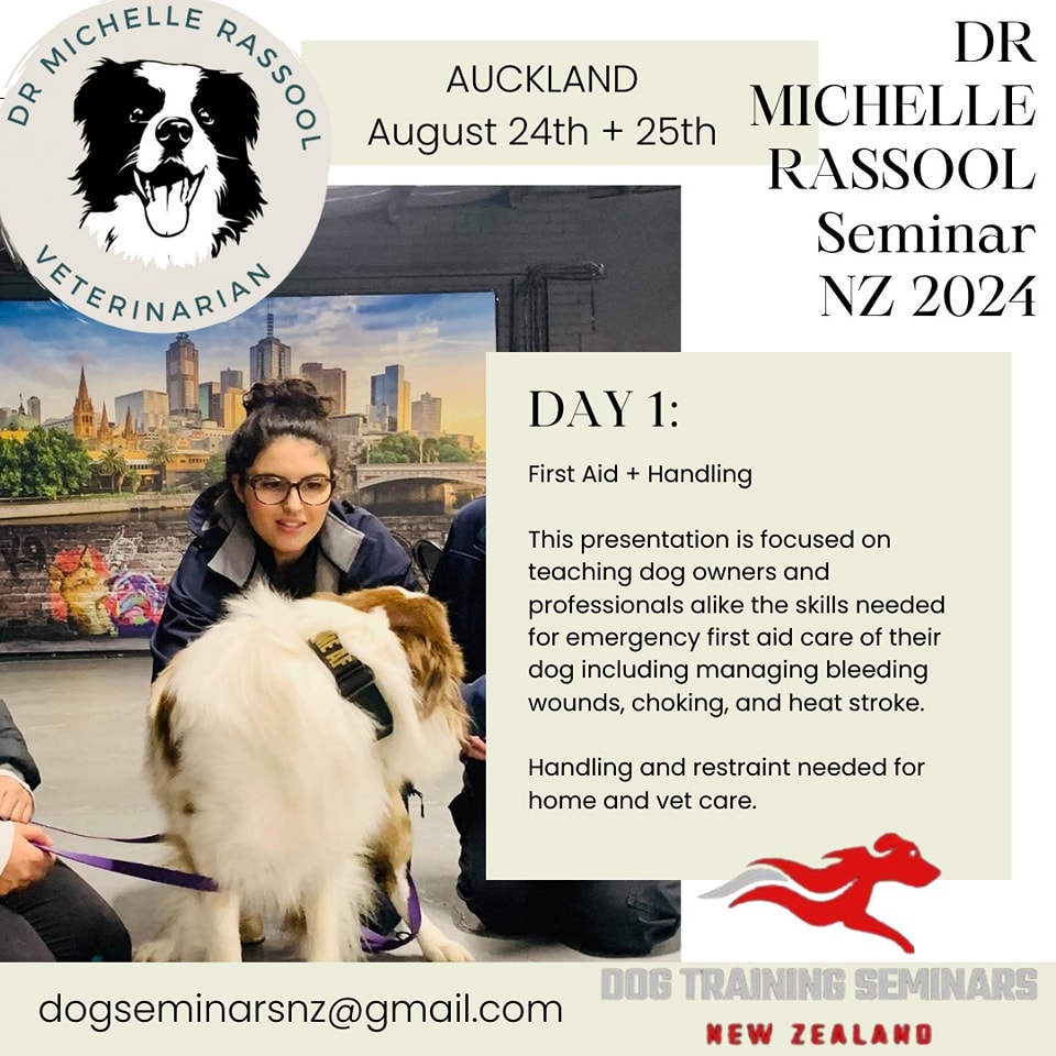 This... - Nadia O’Sullivan - Professional Dog Trainer