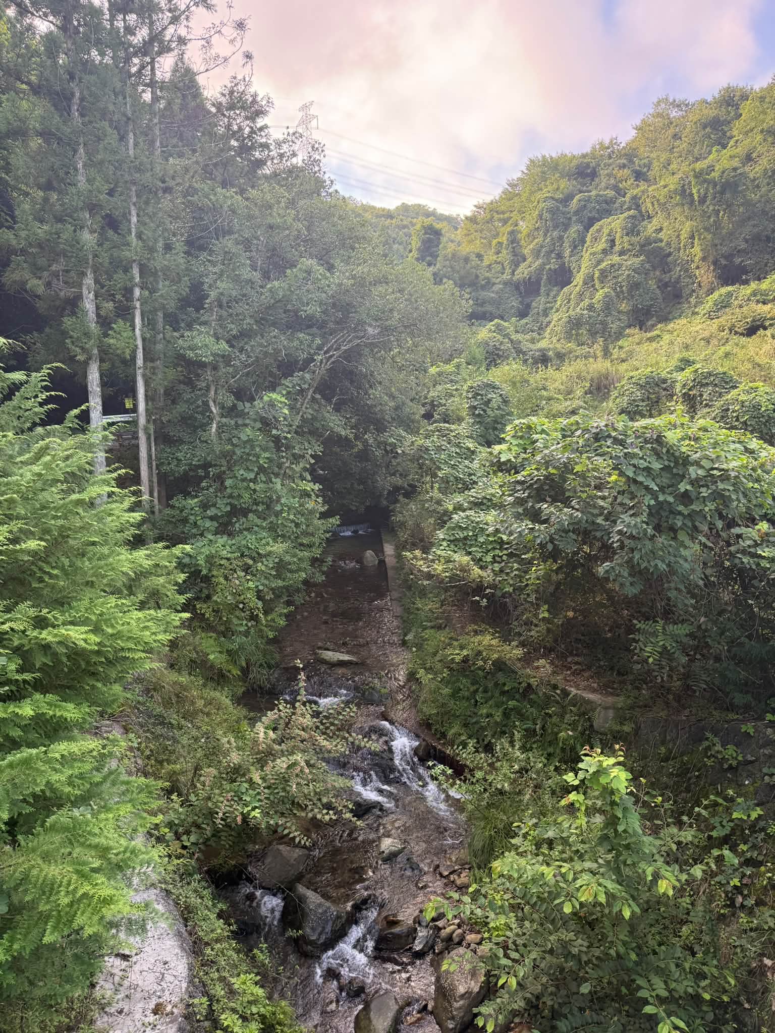13日は絶好のライティング日和でした。3週間ぶりに朝から気持ち良〜く