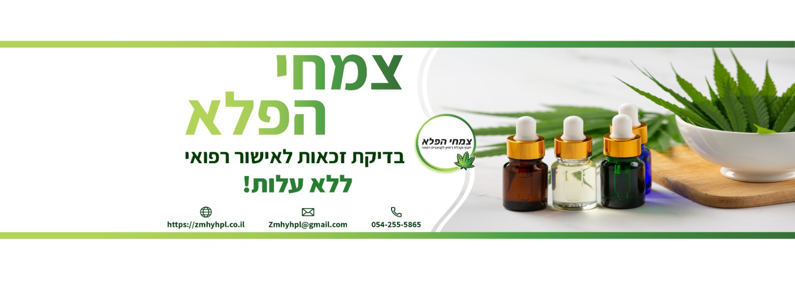 ‎נאשוויל הופעות חו