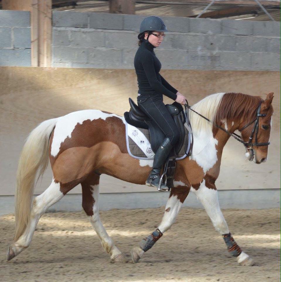 PHOTO CSO et MOTO Auvergne