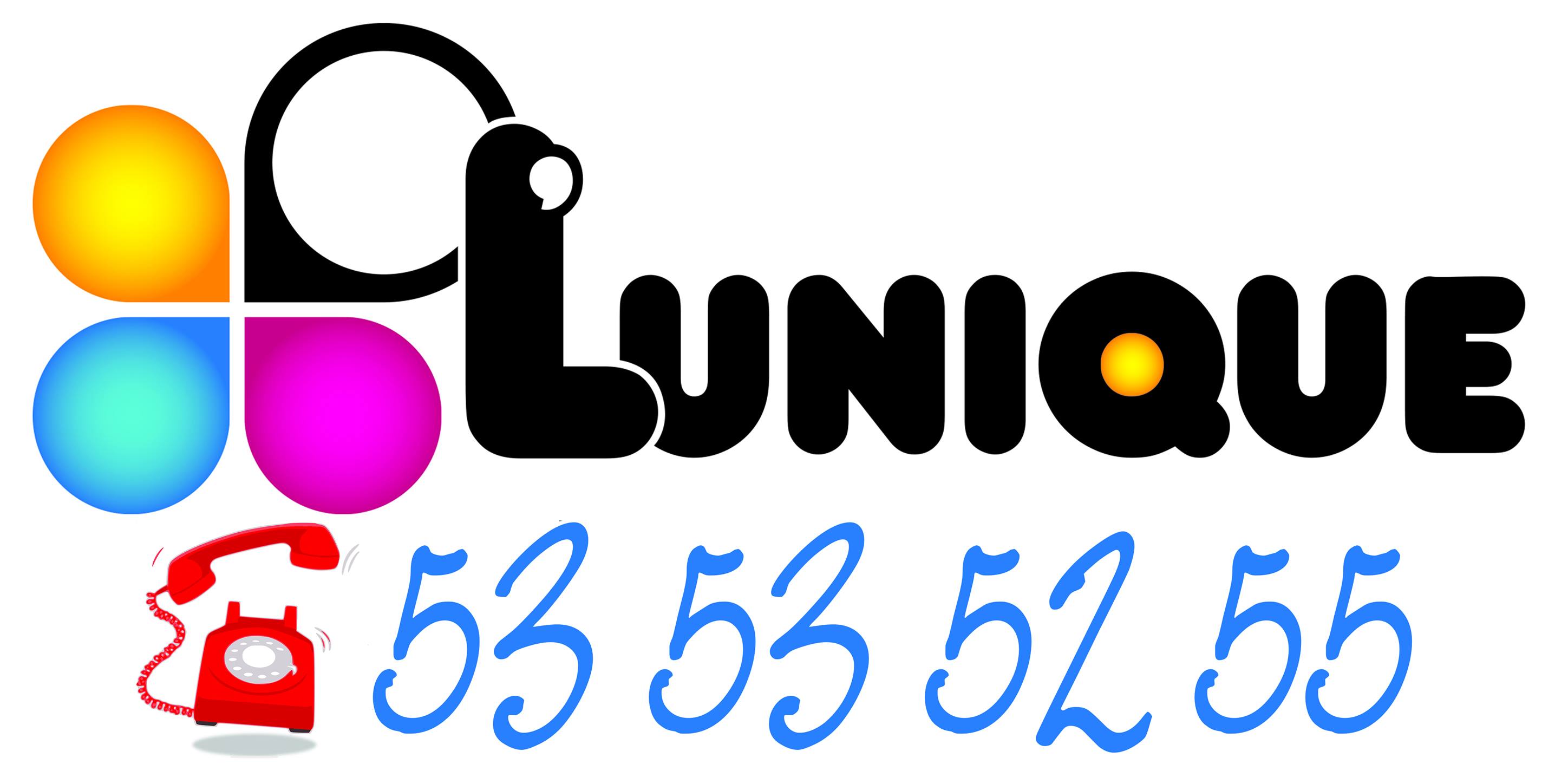 Sté L'unique SA