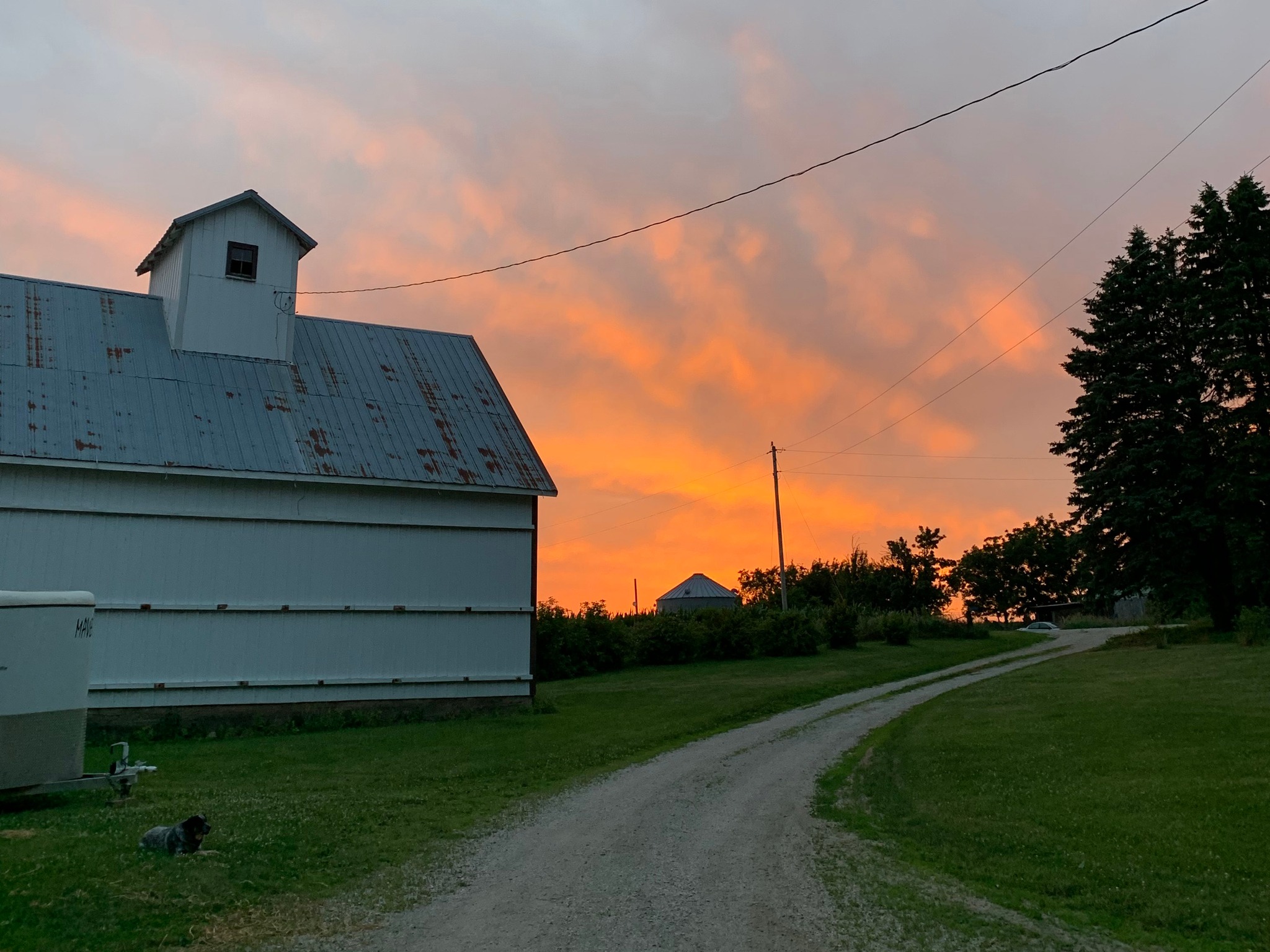 Riggins Family Farm | Cambridge IA