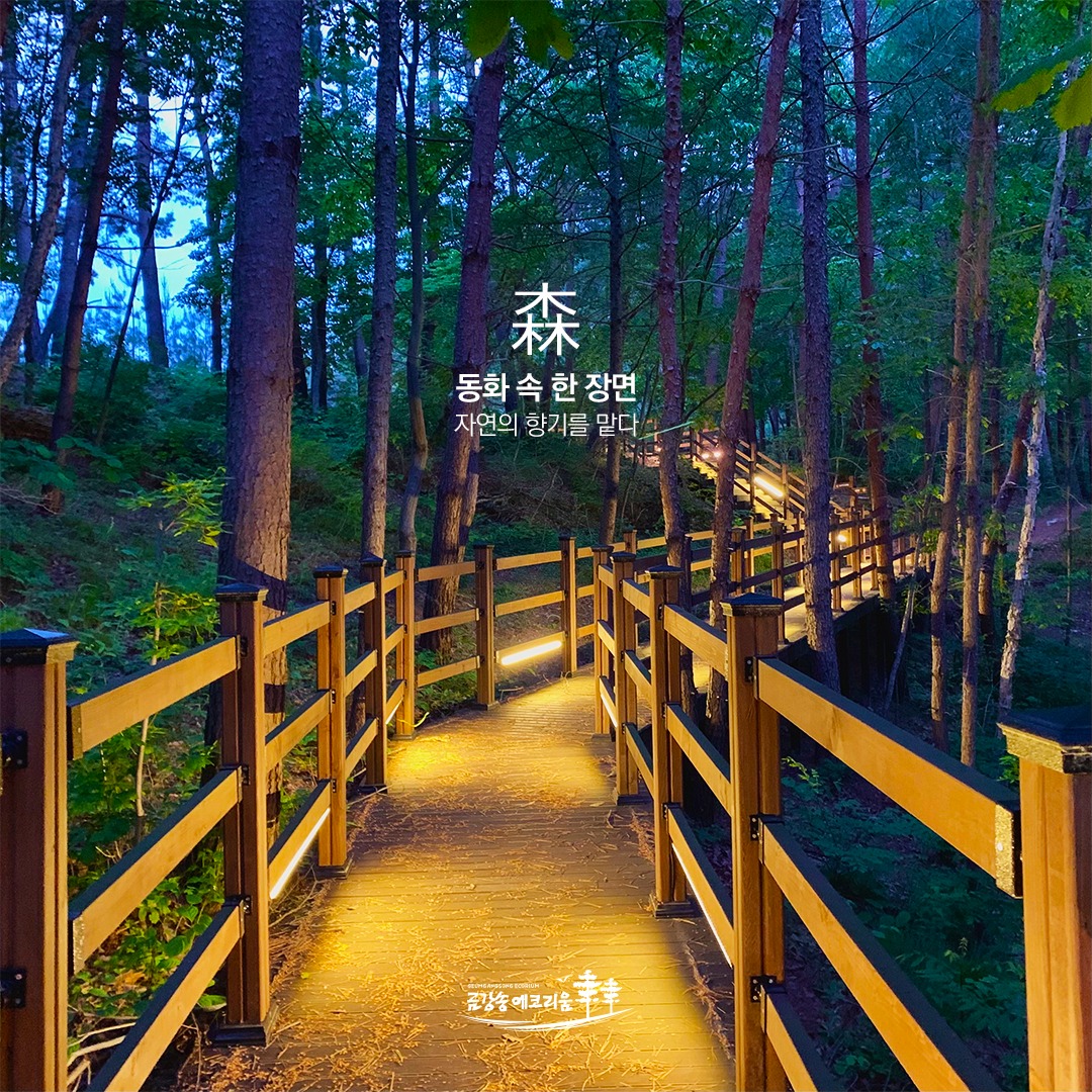 Kolon Hotels - 자연속의 휴식, 금강송에코리움 🌳 일상에 지친 여러분! 자연 속 쉼터 울진... | Facebook