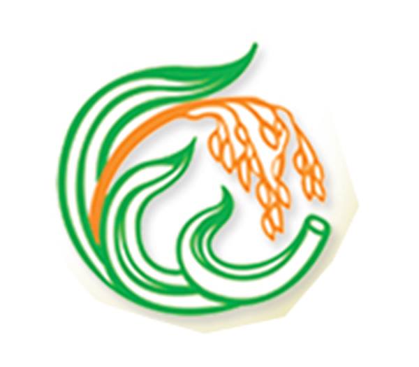 Engallado's - TRY OUR ORGANIC PIAYA! Distinctively Tasty! *** our piaya ...