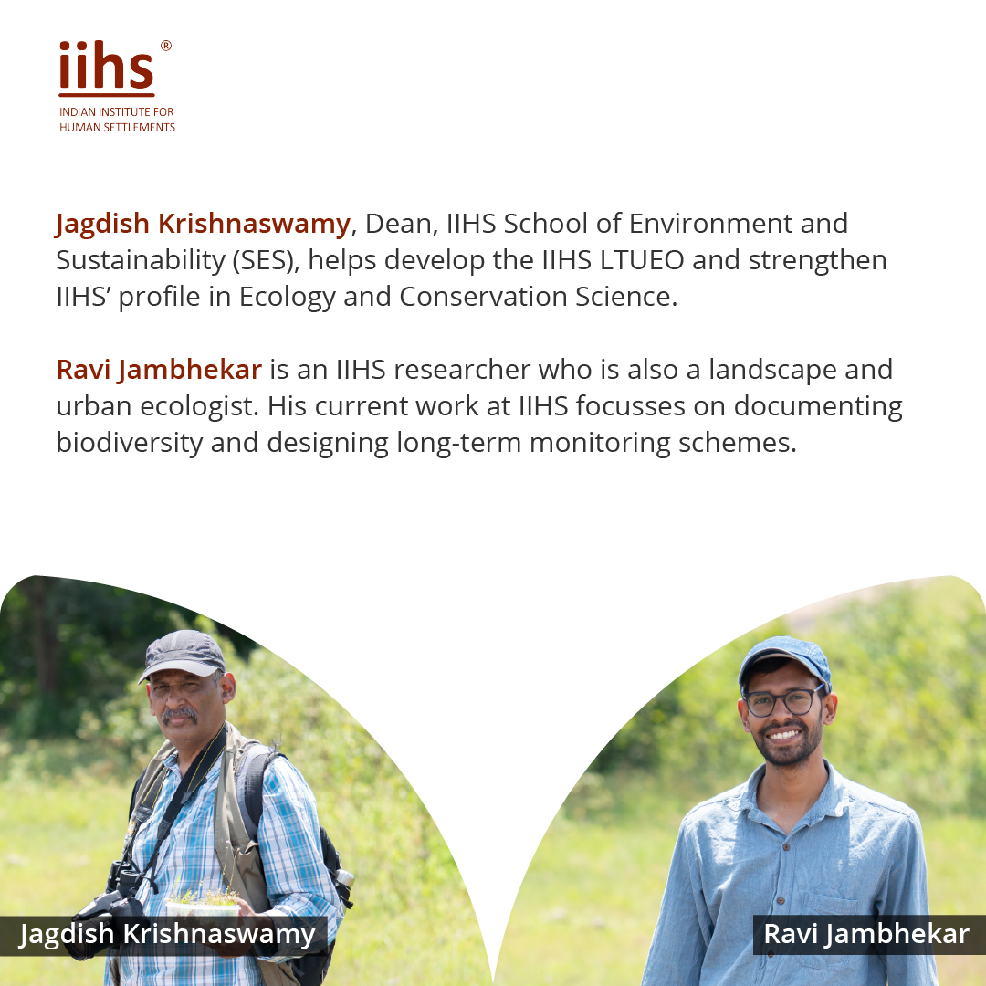 The IIHS... - Indian Institute for Human Settlements (IIHS)