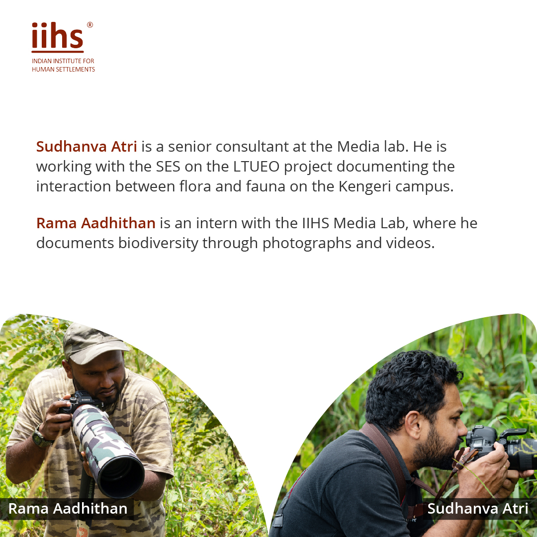 The IIHS... - Indian Institute for Human Settlements (IIHS)