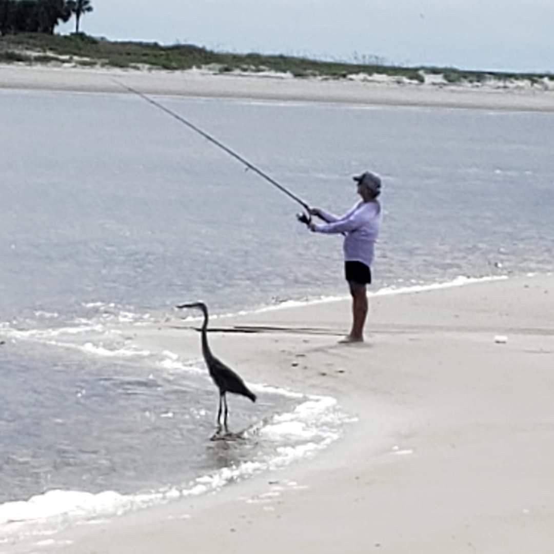 Who makes the best pre-made pompano rigs? | Facebook