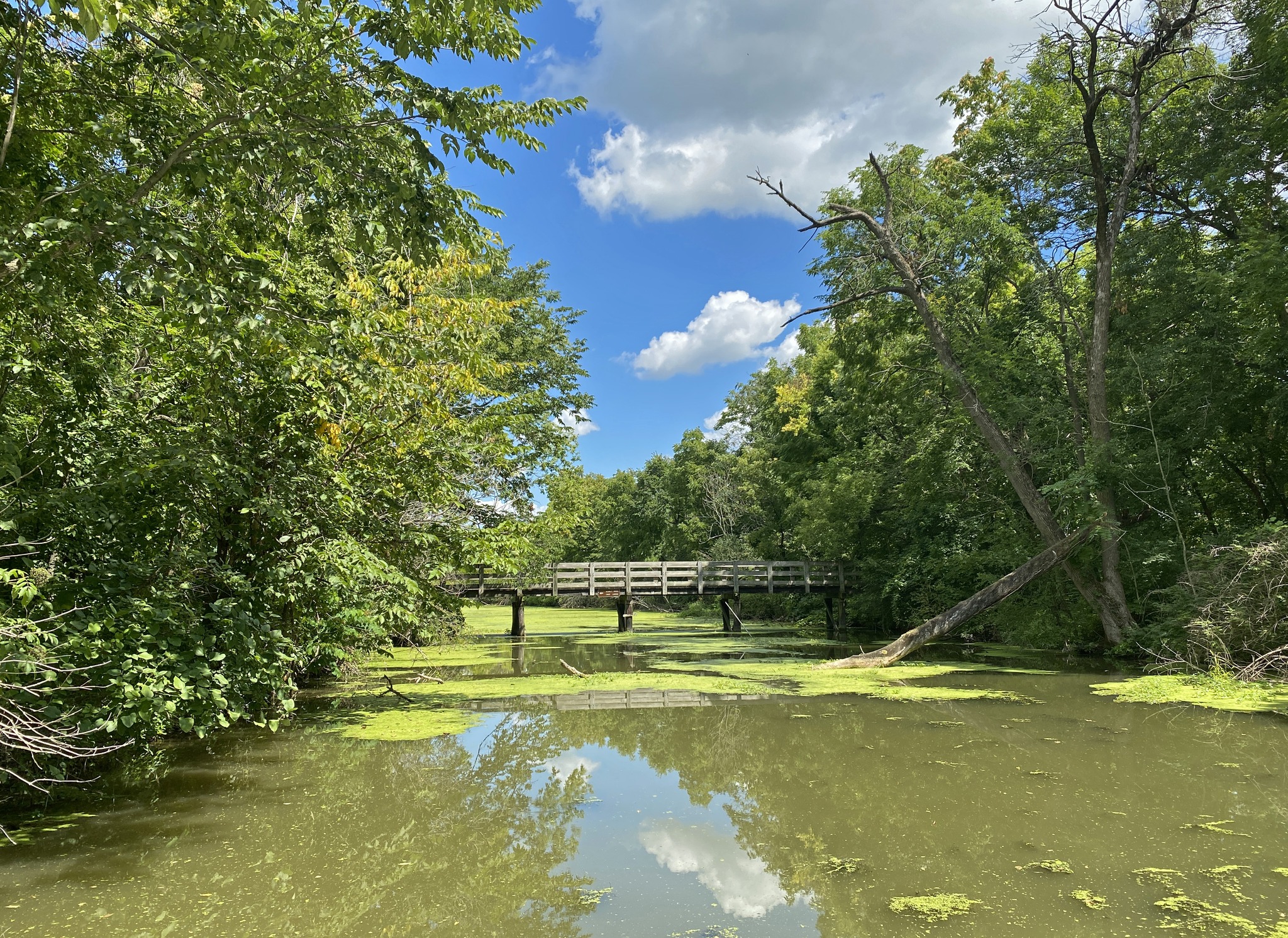 Theodore Marsh - Ready to blaze a new trail this fall?... | Facebook