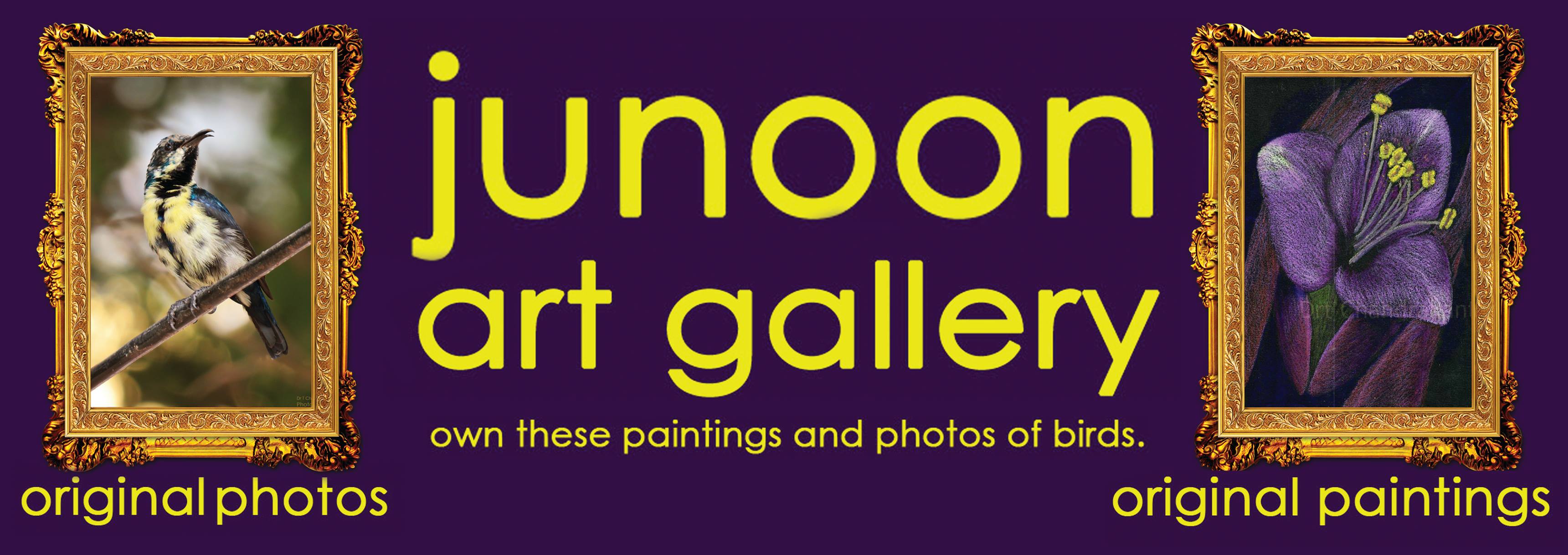 Junoon ART Gallery