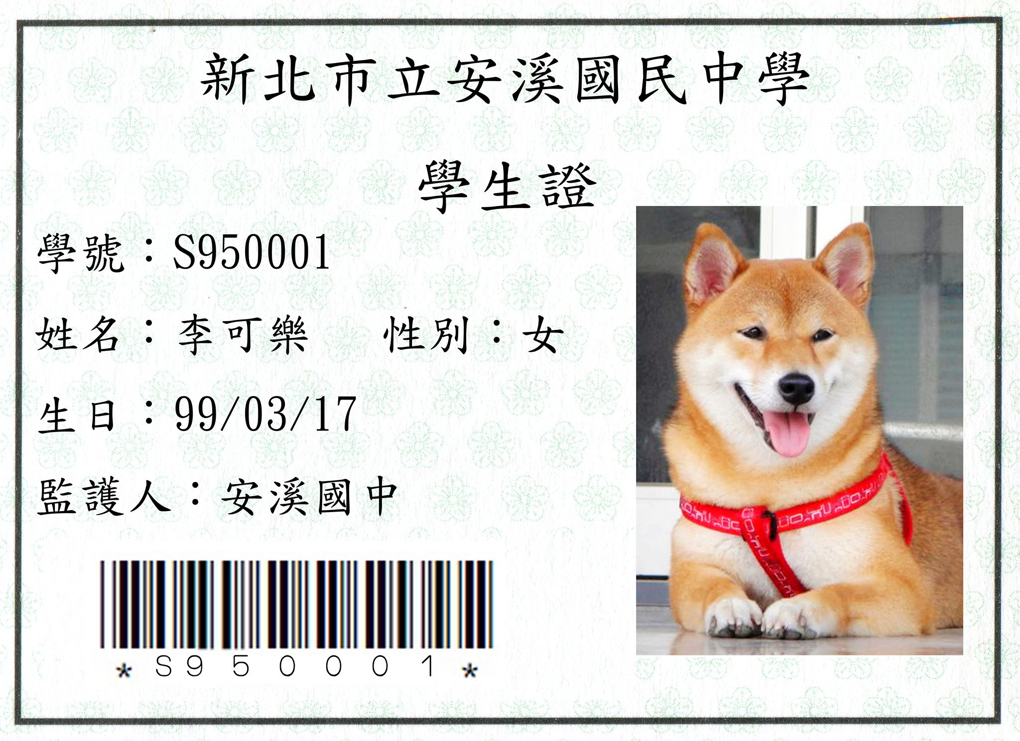 安溪國中校犬【可樂】 - 安溪國中校犬【可樂】 added a new photo.