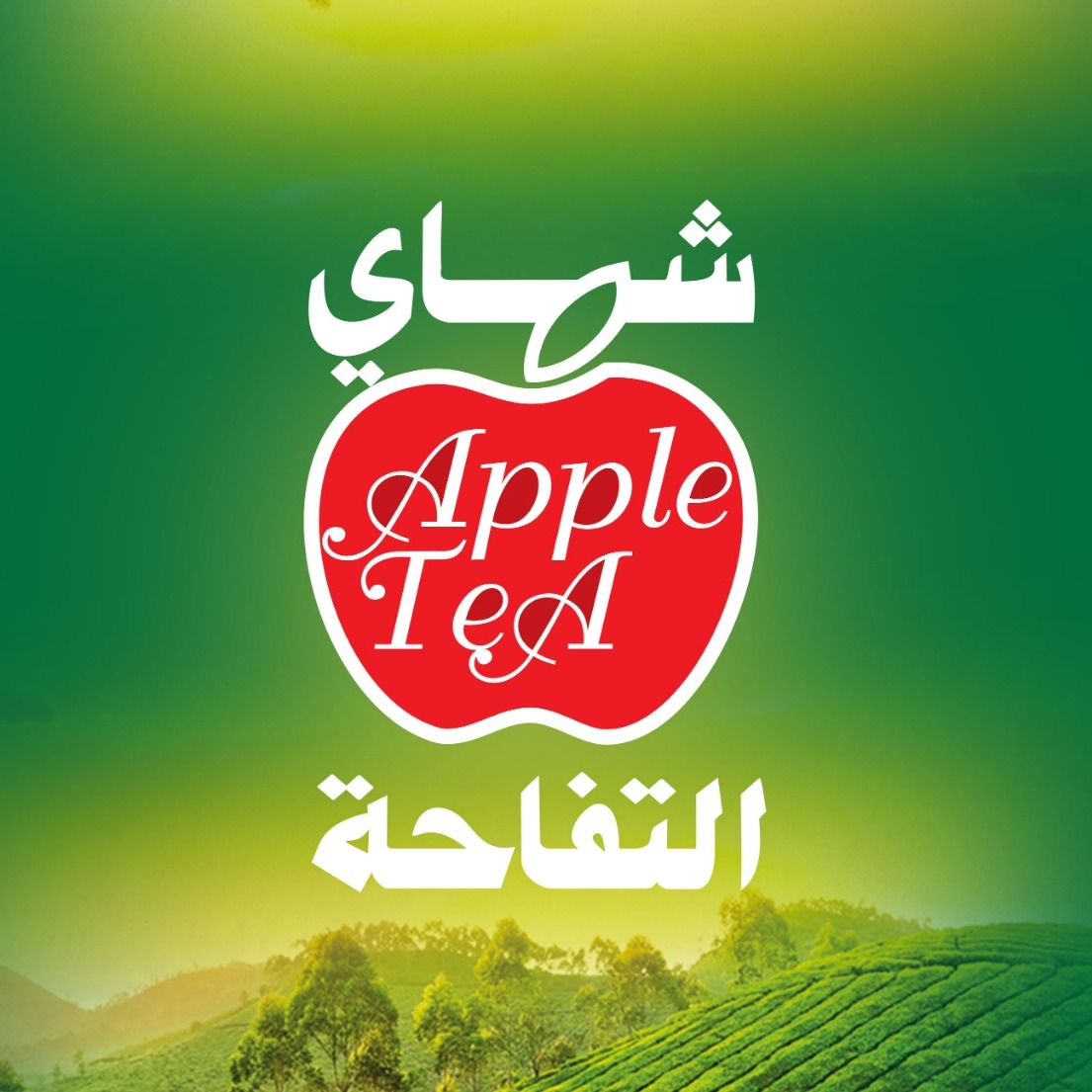 شاي التفاحة Apple Tea - عربیl کوردی جهزوا الشاي ... 😉 واتوقعوا معانا ...