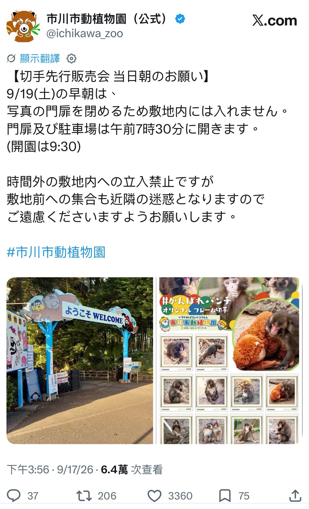 Ichikawa City Zoo's new picture book about Punch the baby monkey